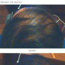 (주)셀비오 이미지