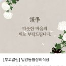 꾼산대장 (이상기) 어머니 께서 별세 하셨습니다 이미지