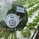 달코미팜
