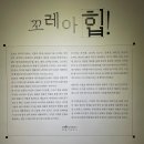 갈현1동 문화의집 문화창작실(4층) | 대구예술발전소 전시 추천, 다녀온 후기(층별 관람 포인트 정리)