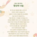영신이불