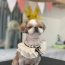 트리멍마마 이미지