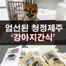 제주에말하다 제이엔에스 | 엄선된 청정제주 강아지 간식은 제주에 말하다. 100% 말고기, 광어 를 즐겨보세요