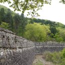 고종시마실길 이미지