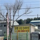 현대아이모터스 네이버블로그
