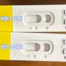 인택트 | 쓰리라인 임테기 역전 보는법 아기집 난황 심장소리 시기