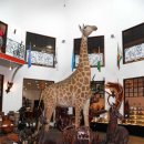 아프리카예술박물관 이미지