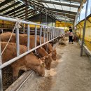 한율농장 이미지