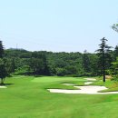 테디벨리 이미지