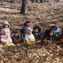 한솔어린이집 이미지