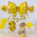 강쥐세상 이미지