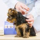 수영종합동물병원 이미지