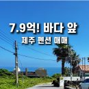 제주튼튼공인중개사사무소 이미지