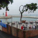 청사포횟집 이미지