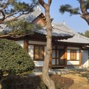 영암펜션 | 월출산의 기운을 담은 힐링 한옥 스테이, 영암펜션기찬빌리지 숙박 후기