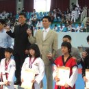 경희대신화태권도장 이미지