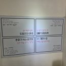 특별한 날엔 꾸밈