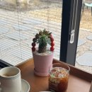 파파어부 이미지