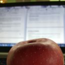[스타크래프트밴 9인승] 회의 중에 사과를 먹어요! 더밴클럽 이미지