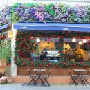 땡큐베리(Thankyou berry) 이미지