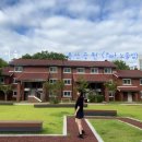 2020-주146 | [서울/일상] 용산에서 셀프 스냅촬영하기 좋은 곳? 용산공원 추천합니다 (feat. 공사 전 방문한 노들섬)