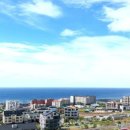 제주대지공인중개사사무소 이미지