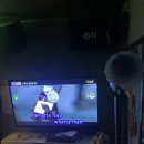 나나니팝