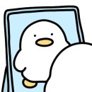신세계지이크