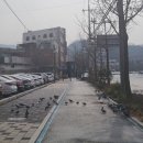 풍남초등학교병설유치원 이미지