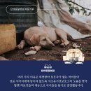 탑벳 동물병원 이미지