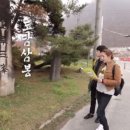 헬로단양