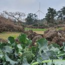 청정농원 이미지