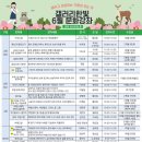 요가교실 오후반 이미지