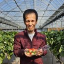 킴스베리 이미지