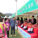 무풍면 생활체육공원 이미지