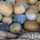 읍내건강원 - 함안군 함안대로 146 | 읍내건강원