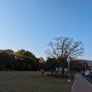 상림목장 이미지