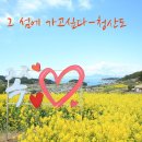 완도2호선 Daum카페