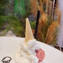로마의휴일 | 신세계백화점 천안아산점 팝업스토어 La Gelato(라젤라또) 젤라또 이천쌀 리조