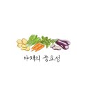 신호야채