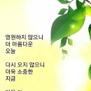 달성홈마트