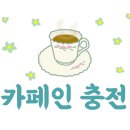 원더빌 키즈카페 이미지