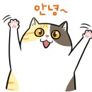 인생숯불구이동해점 이미지