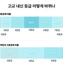 수학 몰빵? 의대 못 갑니다…대치동 최상위 ‘황금비 공부법’ - 상 이미지