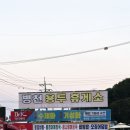 동춘당꽈배기