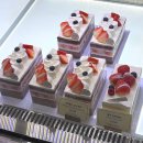 세븐일레븐 고대2호점 | 2025년 내 생일 후기