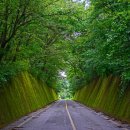 평창강로 이미지