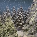 낭낭 | [크리스마스 빌리지 부산] 크리스마스 느낌 낭낭한 “크리스마스 빌리지 부산” 후기