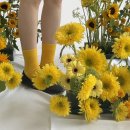 아띠플라워 이미지