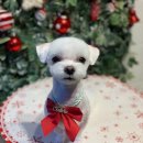 온블리살롱 이미지